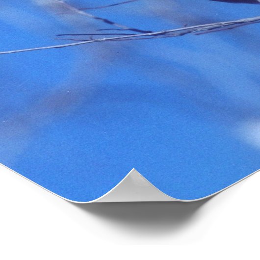 フクロウ ポスター (角)