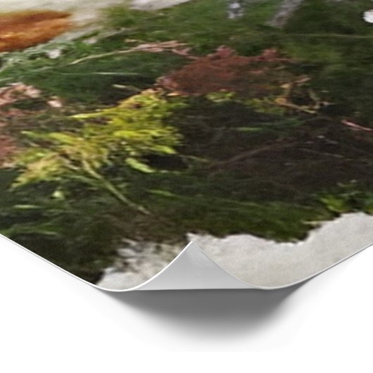 フクロウ ポスター (角)