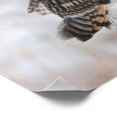 フクロウ ポスター (角)