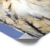 フクロウ ポスター (角)