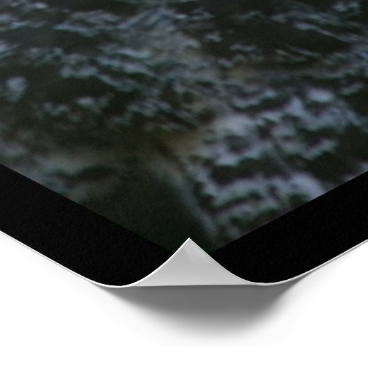 フクロウ ポスター (角)