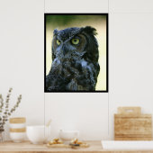 フクロウ ポスター (キッチン)