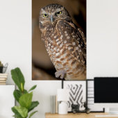 フクロウ ポスター (ホームオフィス)