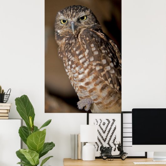 フクロウ ポスター (ホームオフィス)