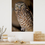 フクロウ ポスター (キッチン)