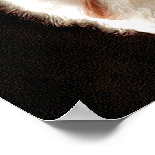 フクロウ ポスター (角)