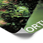 フクロウ ポスター (角)