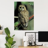 フクロウ ポスター (ホームオフィス)