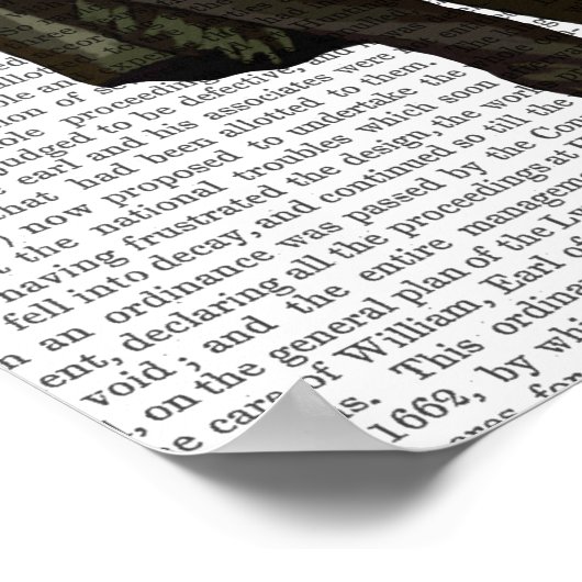 フクロウ ポスター (角)