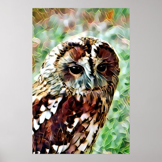 フクロウ ポスター (正面)