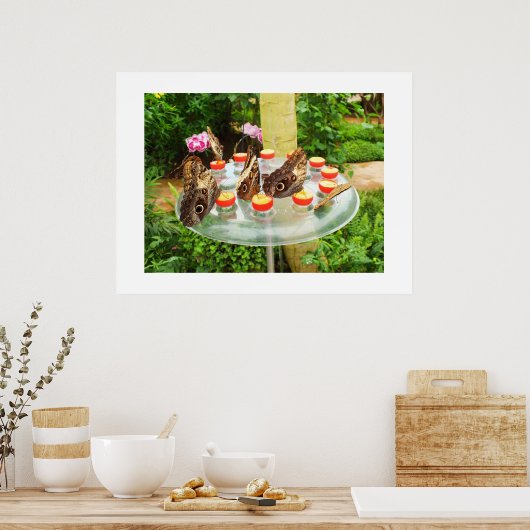 フクロウ ポスター (キッチン)