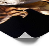 フクロウ ポスター (角)