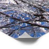 フクロウ ポスター (角)