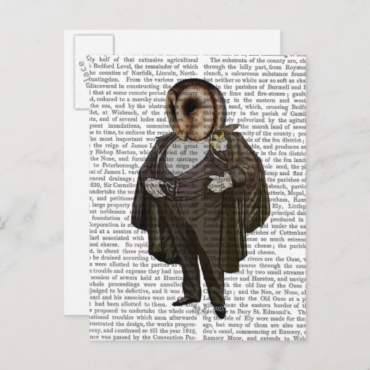 フクロウ ポストカード (正面/裏面)