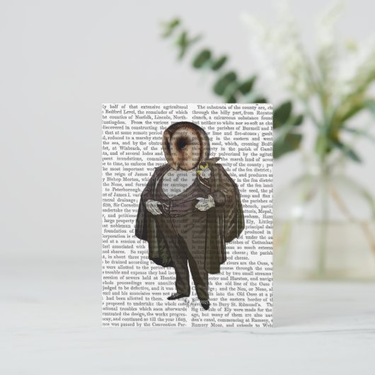 フクロウ ポストカード (スタンド正面)