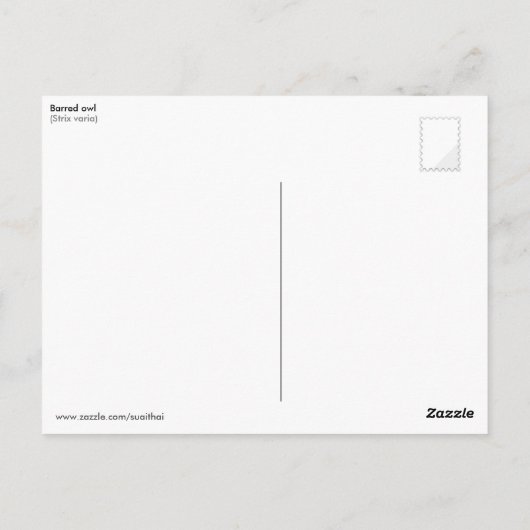 フクロウ ポストカード (裏面)