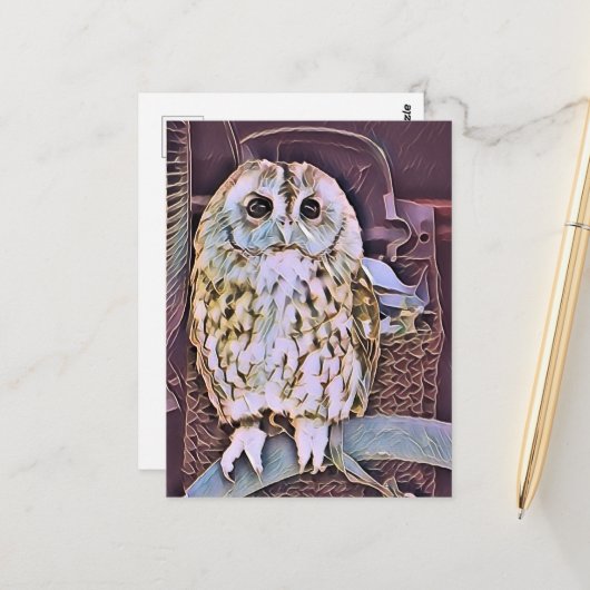 フクロウ ポストカード (正面/裏面インサイチュ)