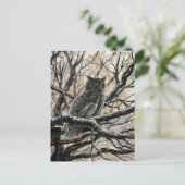 フクロウ ポストカード (スタンド正面)