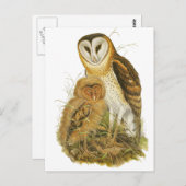 フクロウ ポストカード (正面/裏面)