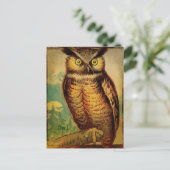 フクロウ ポストカード (スタンド正面)