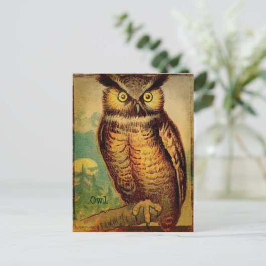 フクロウ ポストカード (スタンド正面)