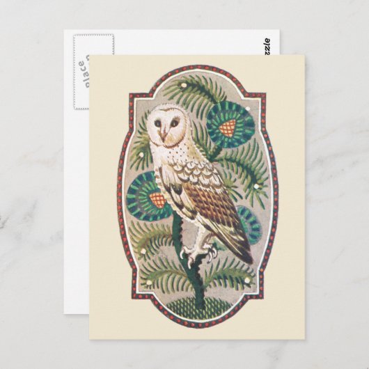フクロウ ポストカード (正面/裏面)