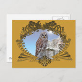 フクロウ ポストカード (正面/裏面)