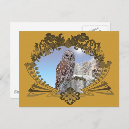 フクロウ ポストカード (正面/裏面)