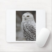 フクロウ マウスパッド (マウス)