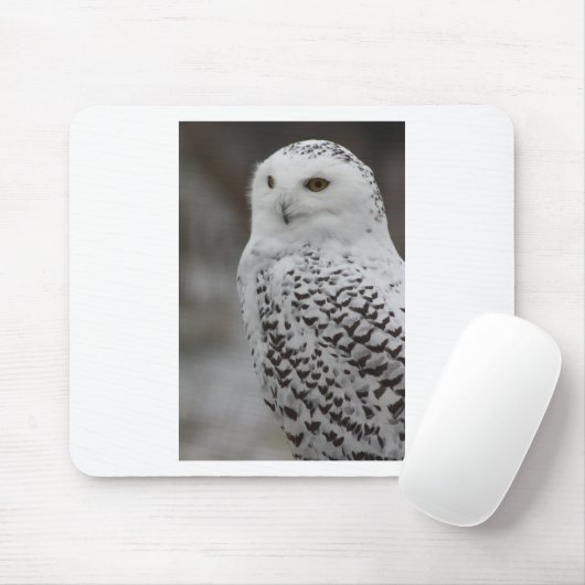 フクロウ マウスパッド (マウス)