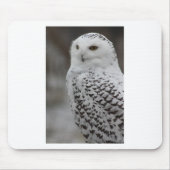 フクロウ マウスパッド (正面)