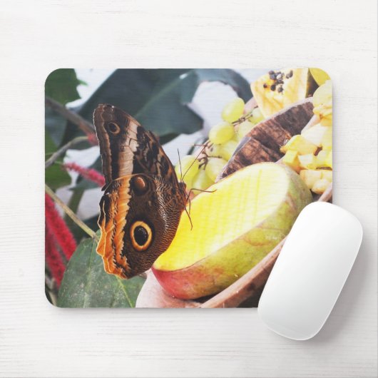 フクロウ マウスパッド (マウス)