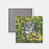 フクロウ マグネット (正面/裏面)