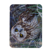 フクロウ マグネット (縦)