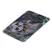 フクロウ マグネット (左側)