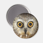 フクロウ マグネット (正面/裏面)