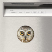 フクロウ マグネット (インサイチュ (食洗機))
