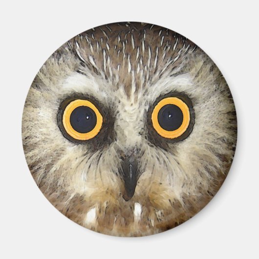 フクロウ マグネット (正面)