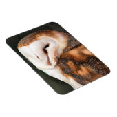 フクロウ マグネット (右側)