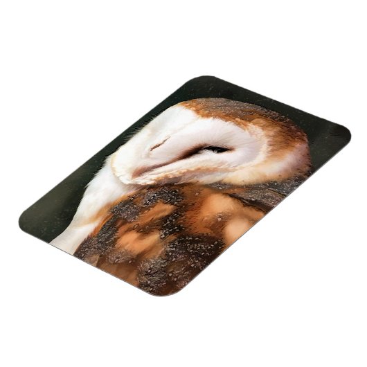 フクロウ マグネット (左側)