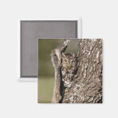 フクロウ マグネット (正面/裏面)