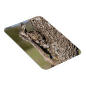 フクロウ マグネット (右側)