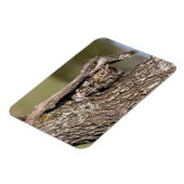 フクロウ マグネット (左側)