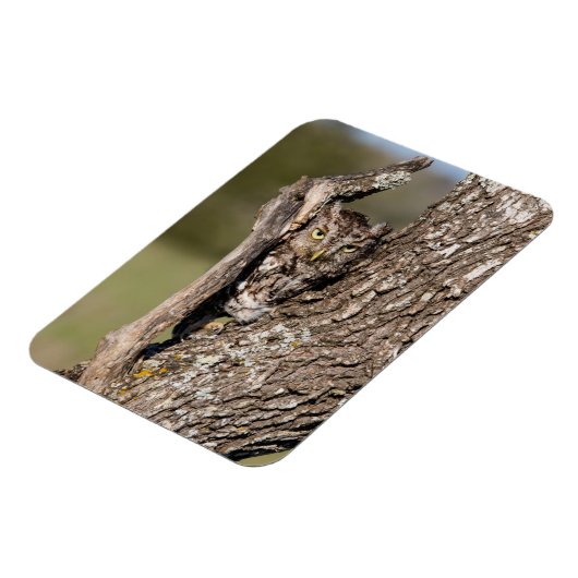 フクロウ マグネット (左側)