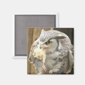 フクロウ マグネット (正面/裏面)