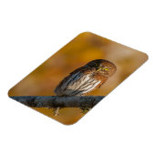 フクロウ マグネット (左側)