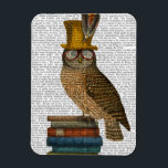 フクロウ マグネット<br><div class="desc">動物と自然</div>