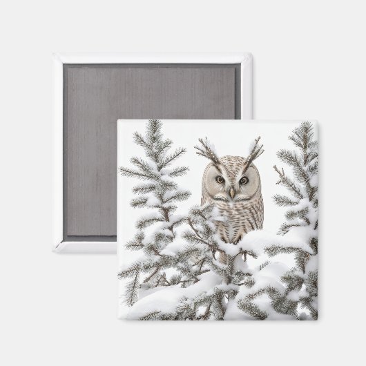 フクロウ マグネット (正面/裏面)