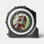 フクロウ メジャー (正面)