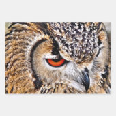 フクロウ ラッピングペーパーシート (正面3)